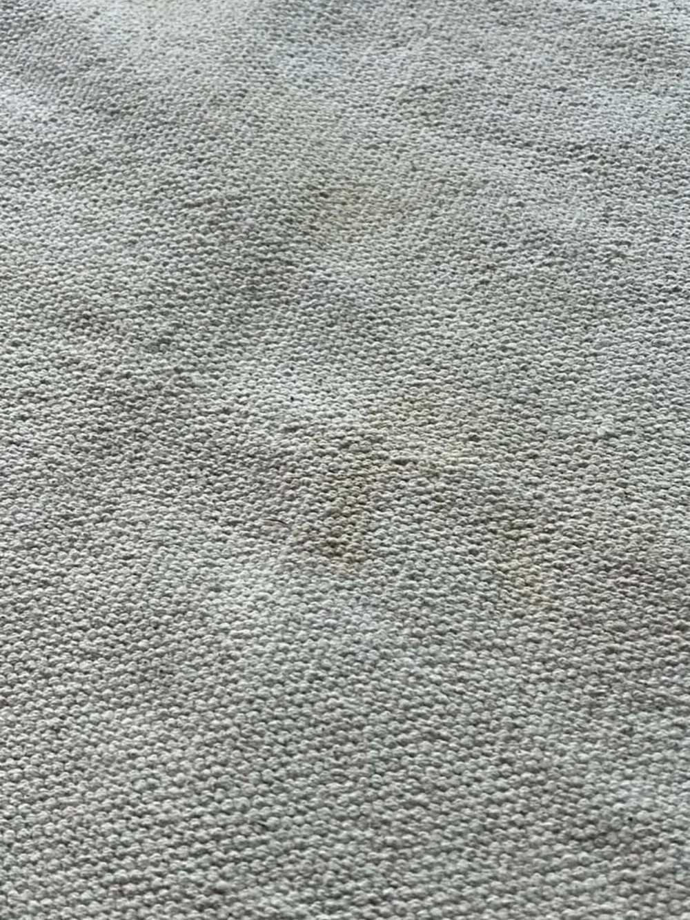 4x6 Tassled Carpet Table Topper Or General Decor